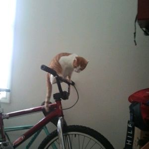 Meet your Posher, Joseph